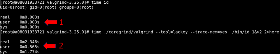 valgrind_ex.png